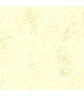 Formato "Parchment-color" 21x29'7cm 150grs Michel