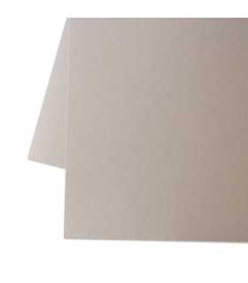 Cartulina PREMIUM Perlada 12"x12" Shimmer Plata de Mintopía